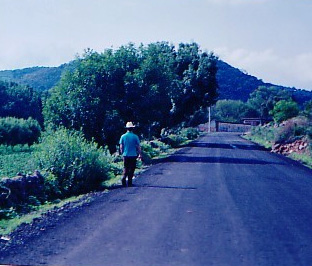 Ray, walking a rural road