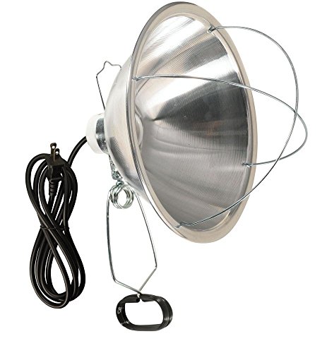 Woods Clamp Lamp with 10" Reflector and Bulb Guard (300W, 6ft cord)