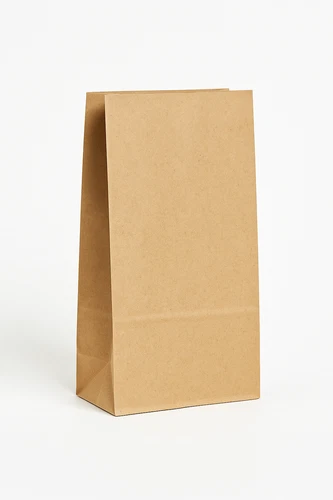 Kraft Paper Lunch Bags (50-pack)
