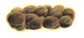 Bristol stool chart Type 2: sausage-shaped but lumpy