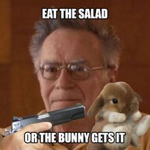 Eat the salad or the bunny gets it