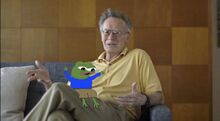 Ray apu