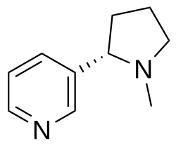 Nicotine molecular structure