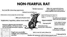 Non-fearful rat